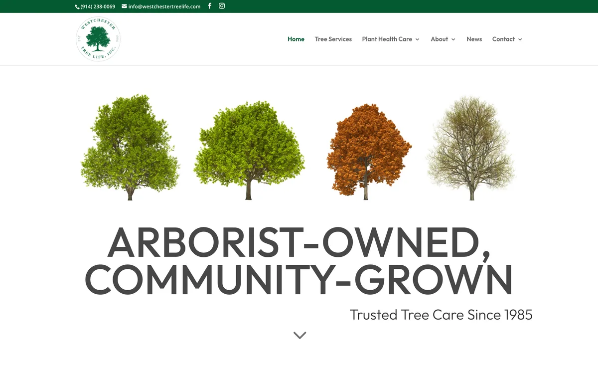 Westchester Tree Life on desktop